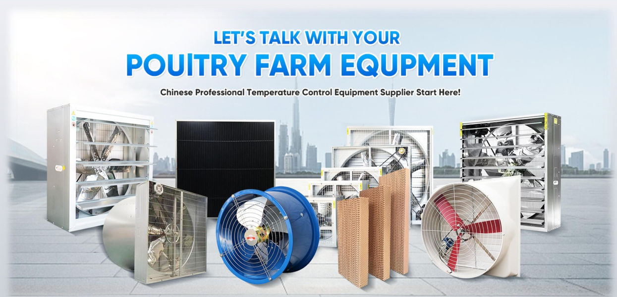 Shandong Xingmuyuan Agriculture and Animal Husbandry Technology Co.,ltd linha de produção do fabricante